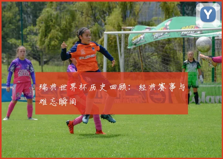 瑞典世界杯历史回顾：经典赛事与难忘瞬间