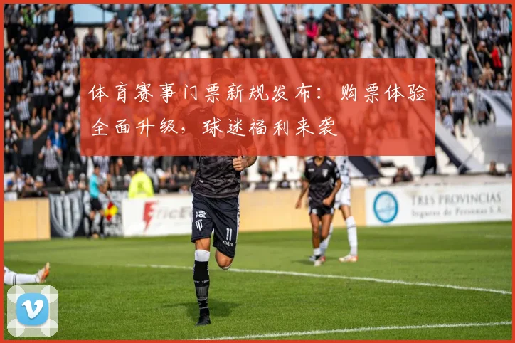 体育赛事门票新规发布:购票体验全面升级,球迷福利来袭